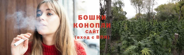 ГАЛЛЮЦИНОГЕННЫЕ ГРИБЫ Козельск