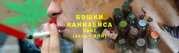 стаф Кодинск