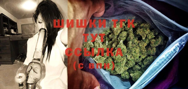стаф Кодинск