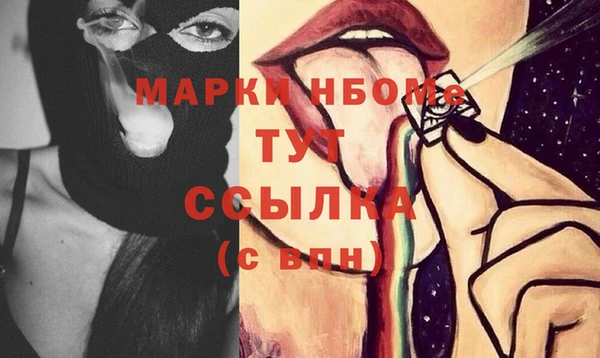 стаф Кодинск