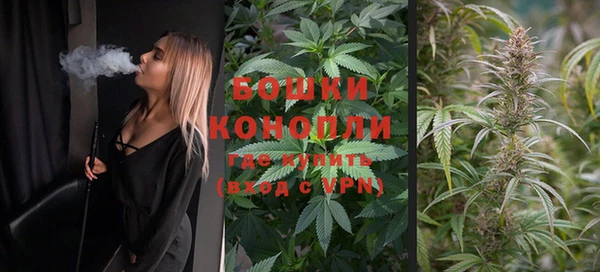 стаф Кодинск