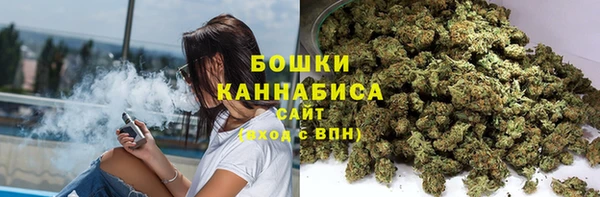 стаф Кодинск