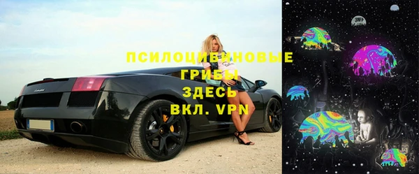 ГАЛЛЮЦИНОГЕННЫЕ ГРИБЫ Козельск