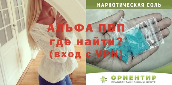 стаф Кодинск