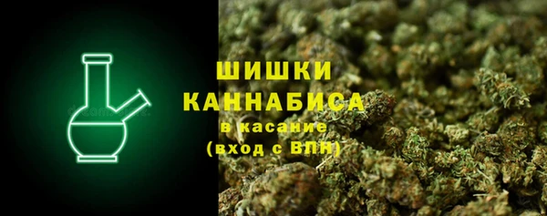 ГАЛЛЮЦИНОГЕННЫЕ ГРИБЫ Козельск