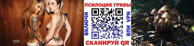 как найти закладки  Кунгур  Галлюциногенные грибы прущие грибы 