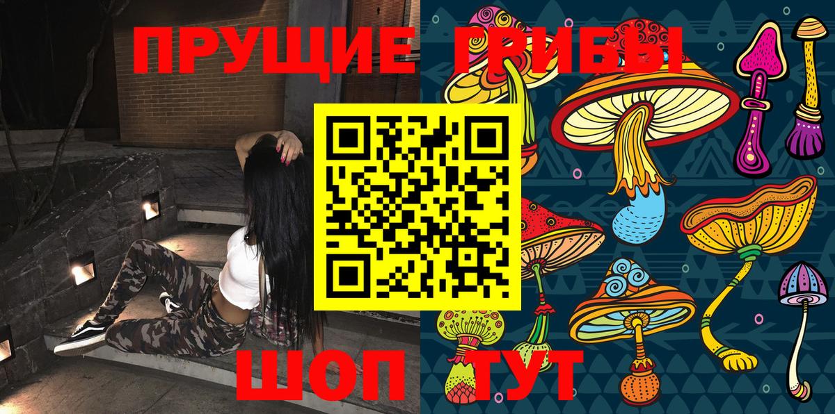 Псилоцибиновые грибы Psilocybine cubensis  Псилоцибиновые грибы мухоморы  Вход с VPN  Кунгур 
